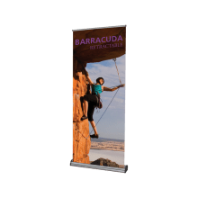 Barracuda Stands