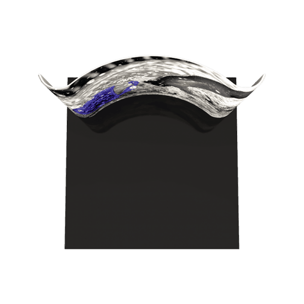 formulate-essential-10ft-horizontal-curve-fabric-backwall-02_top